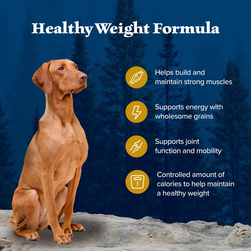 Blue Buffalo Healthy Weight Adult Dry Dog Food with Chicken Flavor - 24lbs, 5 of 13