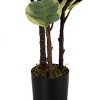 GlasFlength Artificial Plants Artificial Rubber Tree Artificial Oak Tree Faux Plants for Indoor Home Decor, Green, 23.5"*19.75"*47.25" - 3 of 4