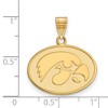 Black Bow Jewelry 14k Yellow Gold Plated Sterling Silver Iowa Hawkeyes NCAA Medium Pendant - 2 of 3