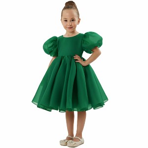 2Bunnies Girls' Organza Puff Sleeve Babydoll Fit & Flare Dress - 1 of 4