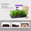 Hamama Home Microgreens Growing Kit, Sprouting Kit, Non-GMO Microgreen Seeds Includes Standard Tray & Organic Microgreen Seeds - 2 of 4