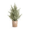 Melrose Frosted Holiday Pine Tree (Set of 6) - 3 of 3