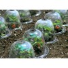 Tierra Garden Victorian Bell Cloches 3pk - 4 of 4
