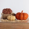 Transpac Resin 9.6 in. Multicolor Harvest Hobnail Pumpkins Set of 3 - 2 of 3