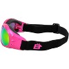2 Pairs of Birdz Eyewear Eagle Safety Goggles - 3 of 4