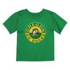 NCAA Oregon Ducks Toddler Boys' 2pk T-Shirt - 3 of 3