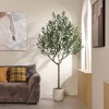 DR.Planzen 6/7/8FT Single-Trunk Artificial Olive Tree in White Oval Planter, Slim Faux Tree Fake Olive Plant for Indoor/Outdoor Home Decor - 3 of 4