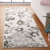 Adirondack ADR114 Non-Shedding Power Loomed Indoor Rugs - Safavieh - 2 of 4