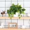 Aoibox Faux Plants Indoor with Plastic Pots, Realistic Small Fake Plants, Fake Potted Plants for Home Shelf Bathroom Kitchen Indoor Outdoor Decor - 4 of 4