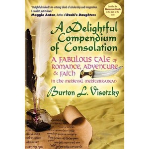 A Delightful Compendium of Consolation - by  Burton L Visotzky (Paperback) - 1 of 1