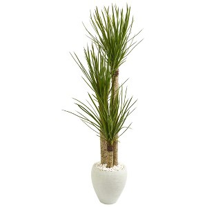 Nearly Natural 5.5-ft Yucca Artificial Tree in White Planter - 1 of 2