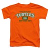 Toddler Boys' Teenage Mutant Ninja Turtles Est. 1984 NYC T-Shirt - 2 of 4