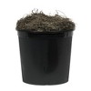 Vickerman Artificial Golden Aspen Executive Tree - 2 of 4