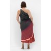 Women's Plus Size Aliza Print Pleat Maxi Dress - sienna | CITY CHIC - 2 of 4