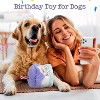 Dog Happy Birthday Cake Toy with Squeaker and Crinkle, Stuffed Plush Puppy Present for Birthday Party, Dog Toy for Small Medium - 3 of 4