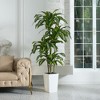 DR.Planzen UV Resistant Artificial 6-7FT Tall Pre Potted Dracaena Tree with White/Brown Tall Square Planter for Indoor Outdoor House Home Decor - 3 of 4