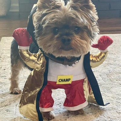 Guest review image 1 of 1, zoom in