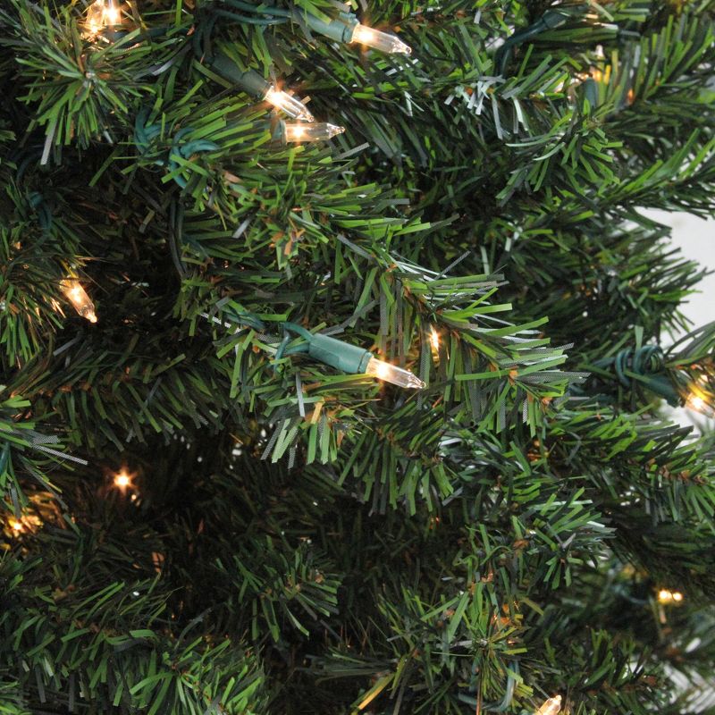 Northlight 10' Prelit Artificial Christmas Tree Medium Canadian Pine - Clear Lights, 3 of 6