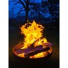 Wilson's Natural Split Kiln-Dried Firewood - 3 of 3