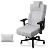 Gaming Chair Modern with Lumbar Support and Adjustable Arms for Home Office 22in Wide Seat - 3irtyhousy - 3 of 4