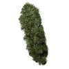 Kurt Adler 24-Inch Virginia Pine Wreath - 2 of 4