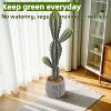 Acekool 35" Artificial Cactus - Realistic 3ft Faux Plant with Planter - 4 of 4