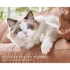 AMERLIFE Modular Down-Filled Sectional Sofa - 4 of 4