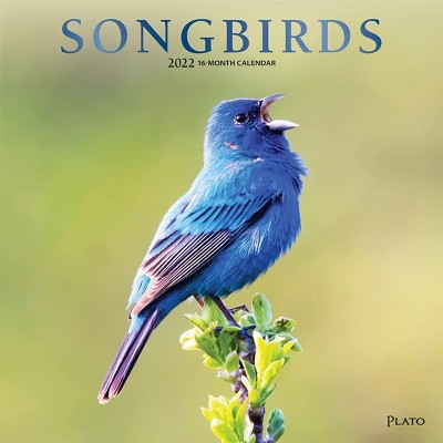 BrownTrout Publishers 2021 - 2022 Songbird Monthly Wall Calendar, 16 Month, Nature Animals Birds Theme, 12 x 12 in