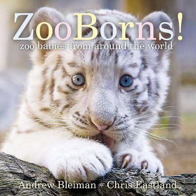 Zooborns! - by  Andrew Bleiman & Chris Eastland (Board Book)