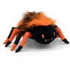 Fonzie the Fuzzy Spider 8" Stuffed Animal - 3 of 4