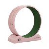 Cat Running Wheel For Cats Up To 44 Lbs, Cat Exercise Wheel With Locking Mechanism-Cuddlewood - 4 of 4