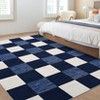 Modern Plaid Area Rugs for Living Room - 4 of 4