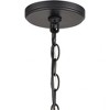 Elk Home Barrow 6 - Light Chandelier in  Birchwood/Matte Black - image 3 of 3