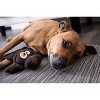 goDog Silent Squeak Flattie Beaver Plush Dog Toy, Chew Guard Technology, Large - 3 of 4