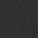 georgia bulldogs uga