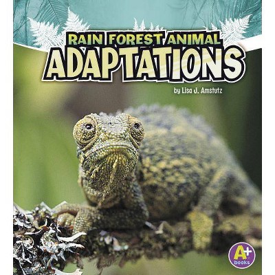 Rain Forest Animal Adaptations - (Amazing Animal Adaptations) by  Lisa J Amstutz (Paperback)