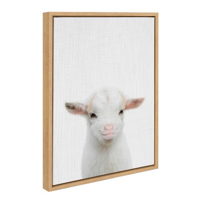 18" x 24" Sylvie Goat Color Framed Canvas by Simon Te of Tai Prints - Kate & Laurel All Things Decor