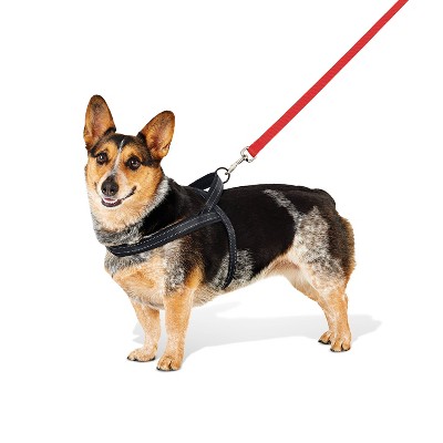 No Pull Comfort Dog Harness - M - Boots & Barkley™