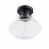 Brio Lighting Solaria 1 - Light Semi-Flush Mount in  Dark Brown - 4 of 4