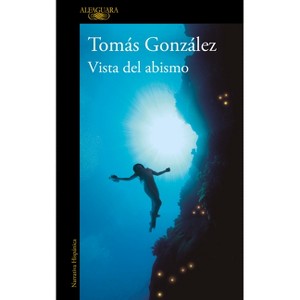 Vista Desde El Abismo / View from the Abyss - by  Tomás González (Paperback) - 1 of 1