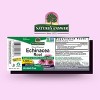 Nature's Answer Echinacea Liquid Extract 1000mg, 1 Oz - 2 of 4