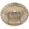 Sierra Rattan Accent Chair - ACH6501 - Safavieh - 4 of 4