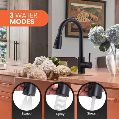 Oil Rubbed Bronze Single-Handle Pull-Down Sprayer Kitchen Faucet