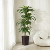 5-6ft UV & Sunproof Artificial Dracaena Tree for Indoor/Outdoor - Faux Silk Plant in Tall Planter, Tall Faux Tree for Home & Garden Decor - 4 of 4