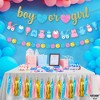 KatchOn, Boy or Girl Banner and Garland Set - 10 Feet, No DIY | Glitter Boy or Girl Gender Reveal Banner, Tassel Garland for Baby Shower Decorations - 3 of 4
