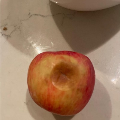 Guest review image 1 of 1, zoom in