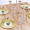 Silver Spoons Metallic Rimmed Plastic Plates for Party, Heavy Duty Disposable Dinner Set, (10 PC), Ritz Collection - 2 of 2