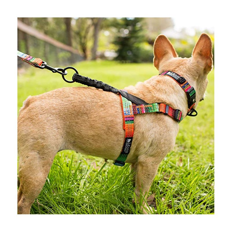 Leashboss No Pull Dog Harness for Walking, with Bungee Handle, Rear and Front Clip Attachment, 4 of 5