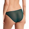 Adore Me Women's Gaya Open Back Panty - 2 of 4