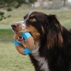 KONG Corestrength Bamboo Ring Dog Toy - Blue - 2 of 3